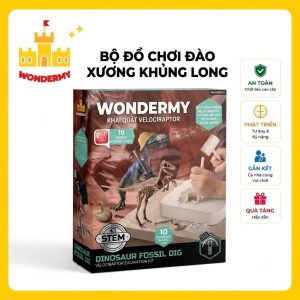 Bộ Khảo Cổ Truy Tìm Xương Khủng Long