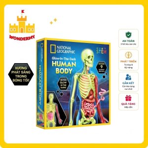 Nat Geo Khám Phá Bộ Phận Cơ Thể Người